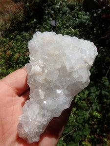 Uplifting Clear Apophyllite Natural Cluster With Stilbite Inclusions from India1 - Earth Family Crystals