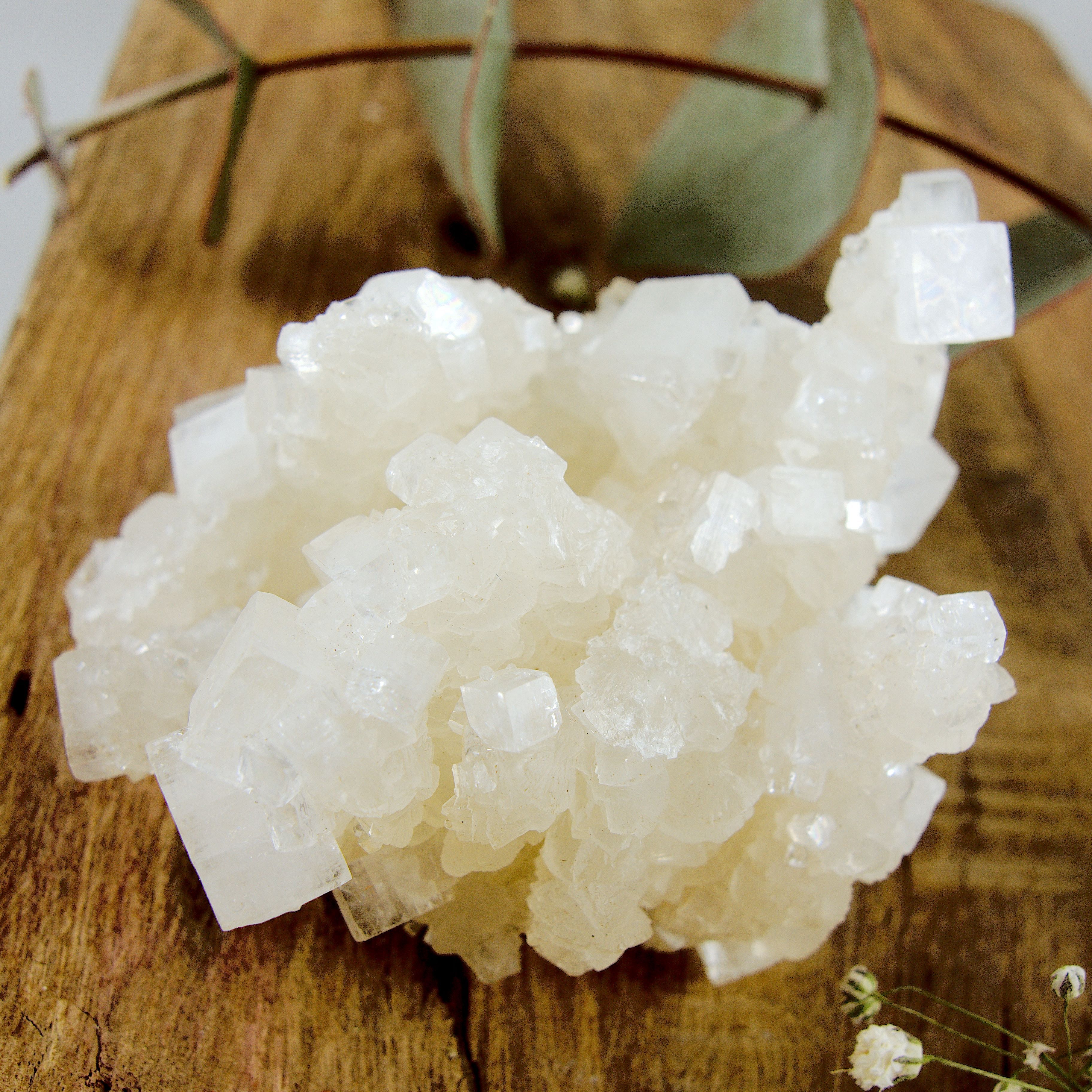 Unique Cubic Clear Apophyllite Tower Cluster From India - Earth Family Crystals