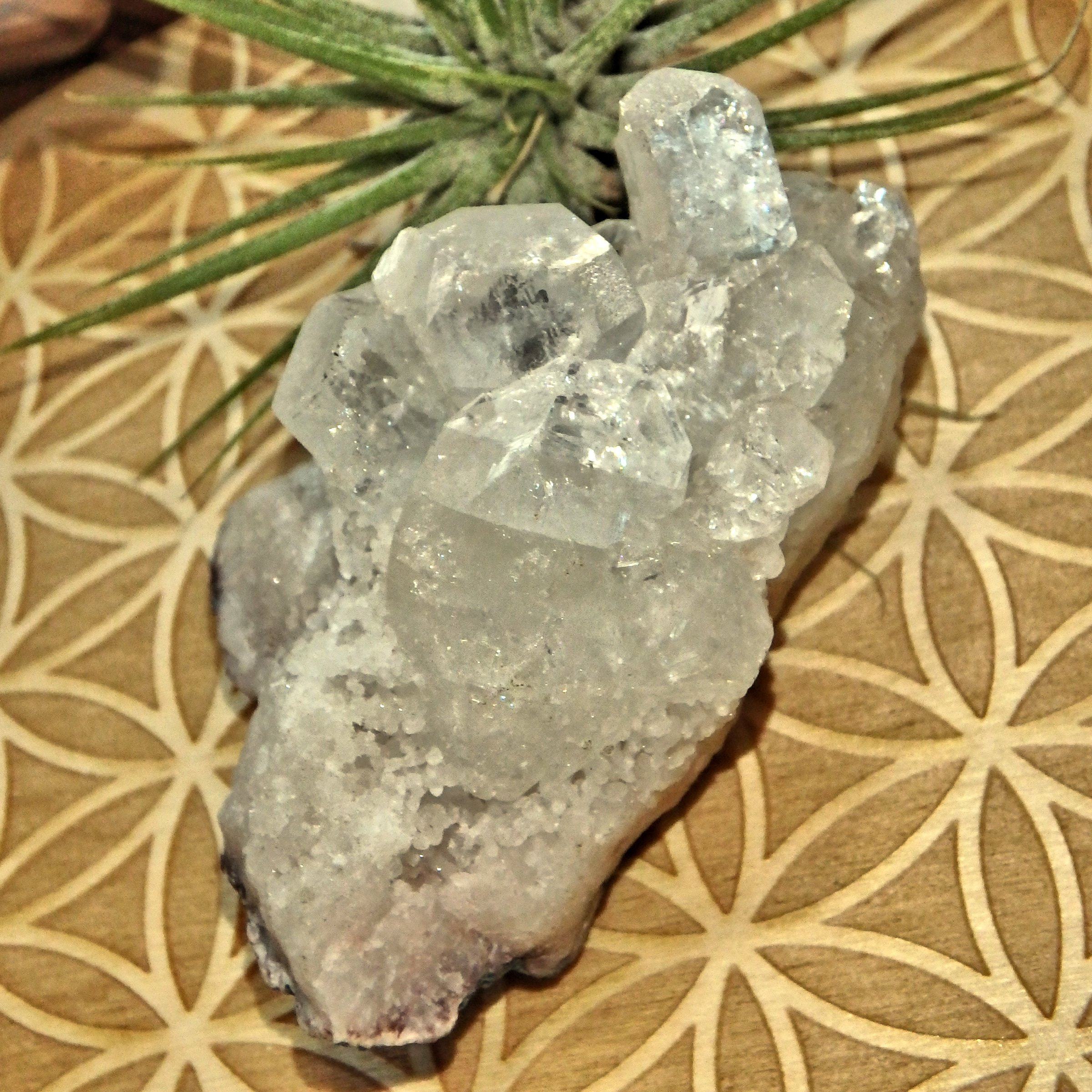 Angelic Clear Apophyllite Points Nestled on Matrix From India - Earth Family Crystals