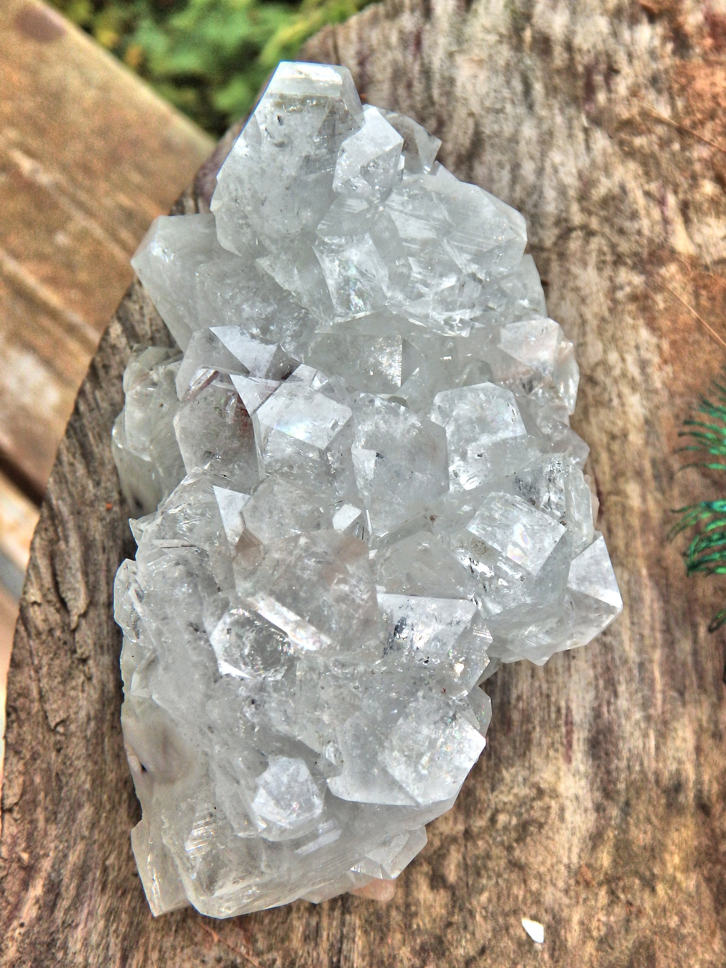Glamorous Sparkle Clear Apophyllite High Vibe Cluster From India - Earth Family Crystals