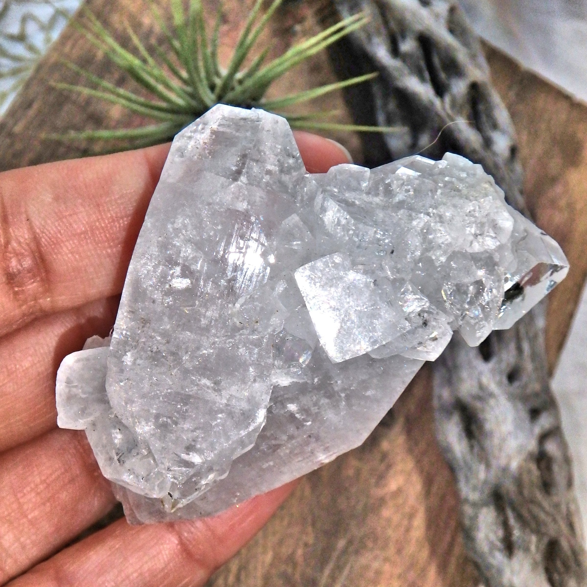 Shiny Clear Apophyllite Natural Cluster From India