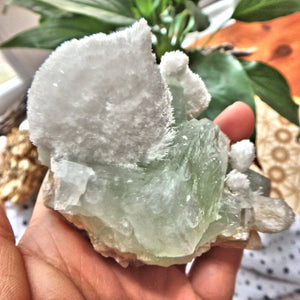 Rare Milky White Mordenite on Brilliant Green Apophyllite & Stilbite Matrix From India - Earth Family Crystals