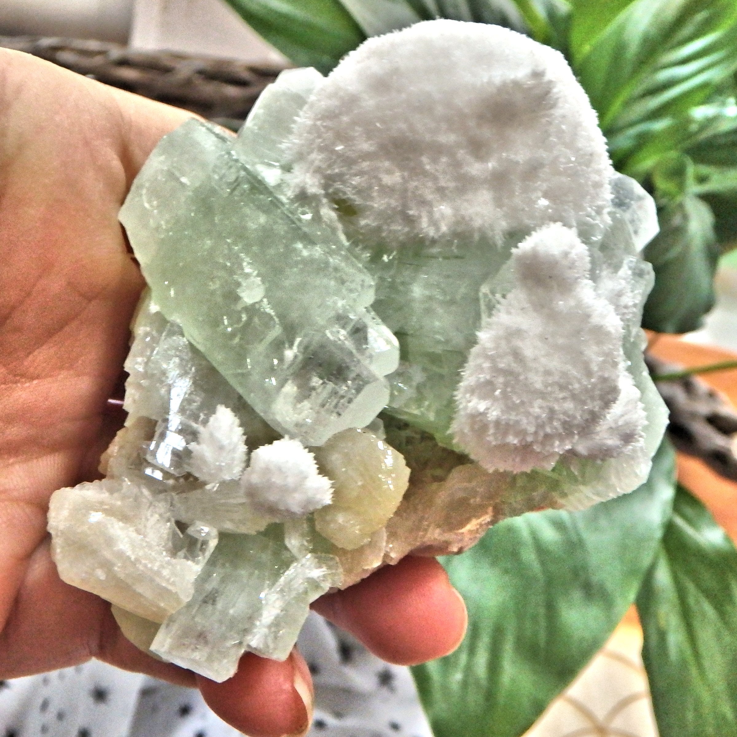 Rare Milky White Mordenite on Brilliant Green Apophyllite & Stilbite Matrix From India - Earth Family Crystals