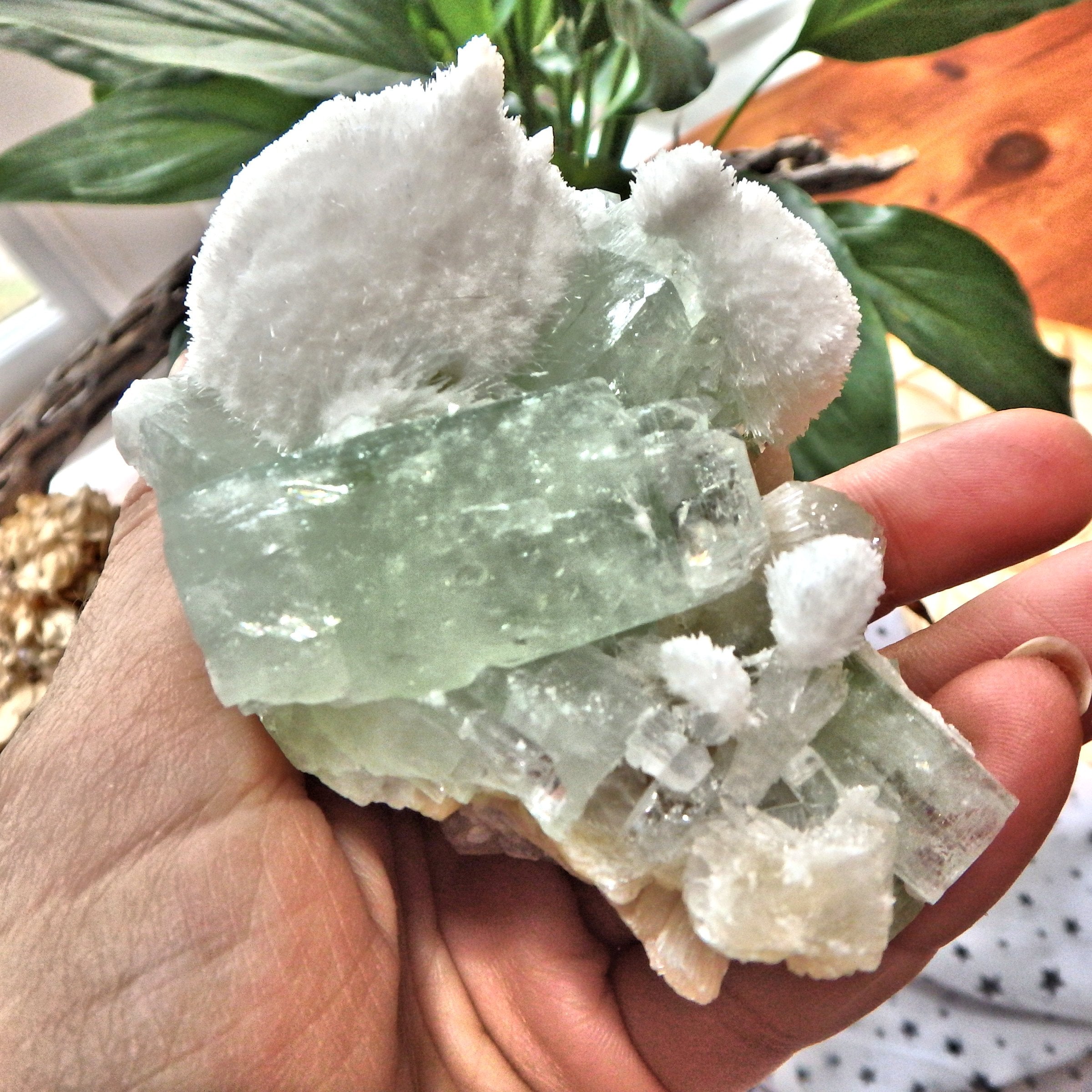 Rare Milky White Mordenite on Brilliant Green Apophyllite & Stilbite Matrix From India - Earth Family Crystals