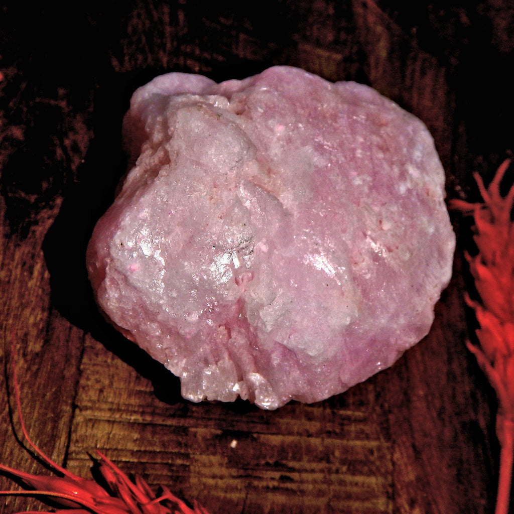 Cotton Candy Rose Pink Aragonite Natural Specimen - Earth Family Crystals