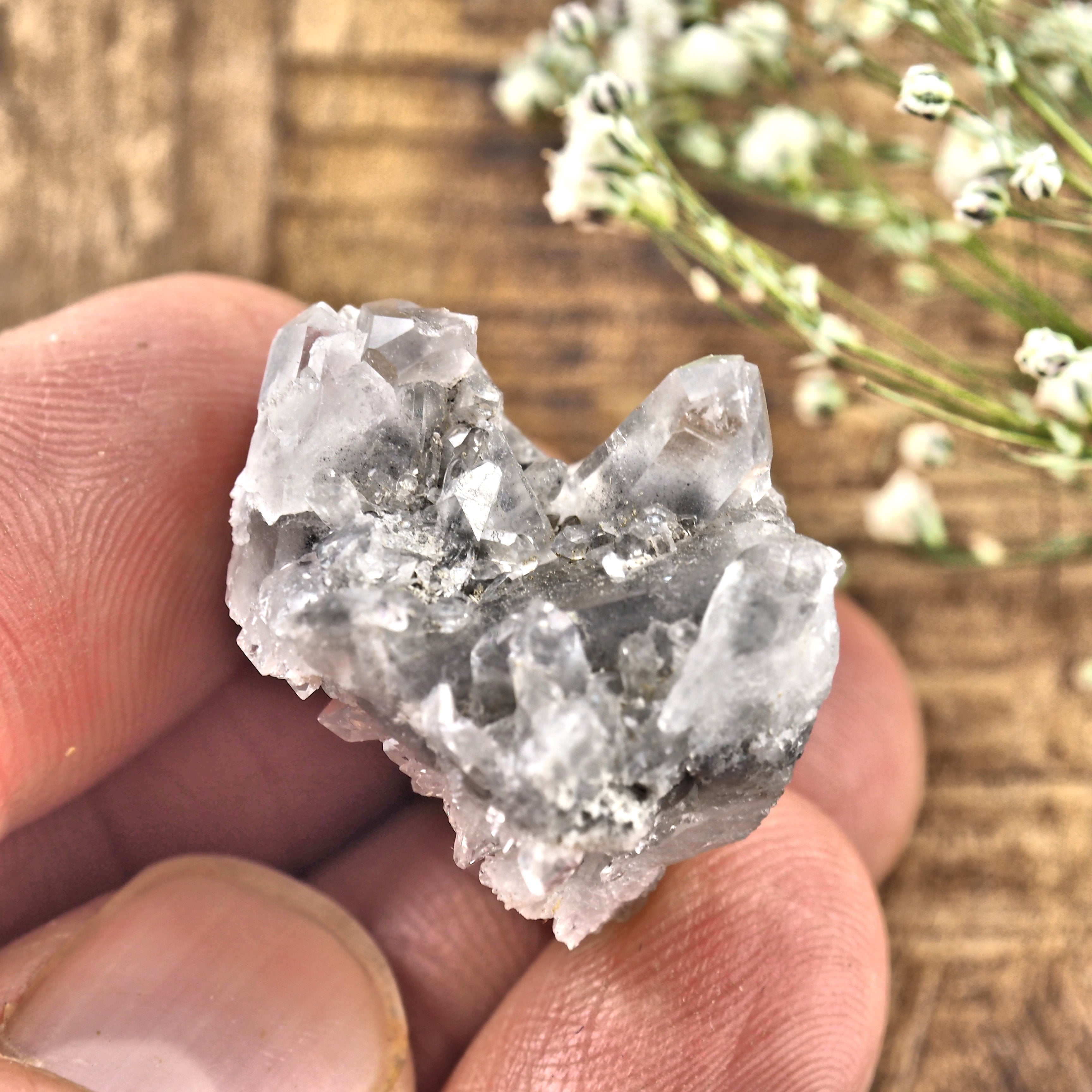 Small Blue Phantom Arkansas Quartz Cluster #1 - Earth Family Crystals