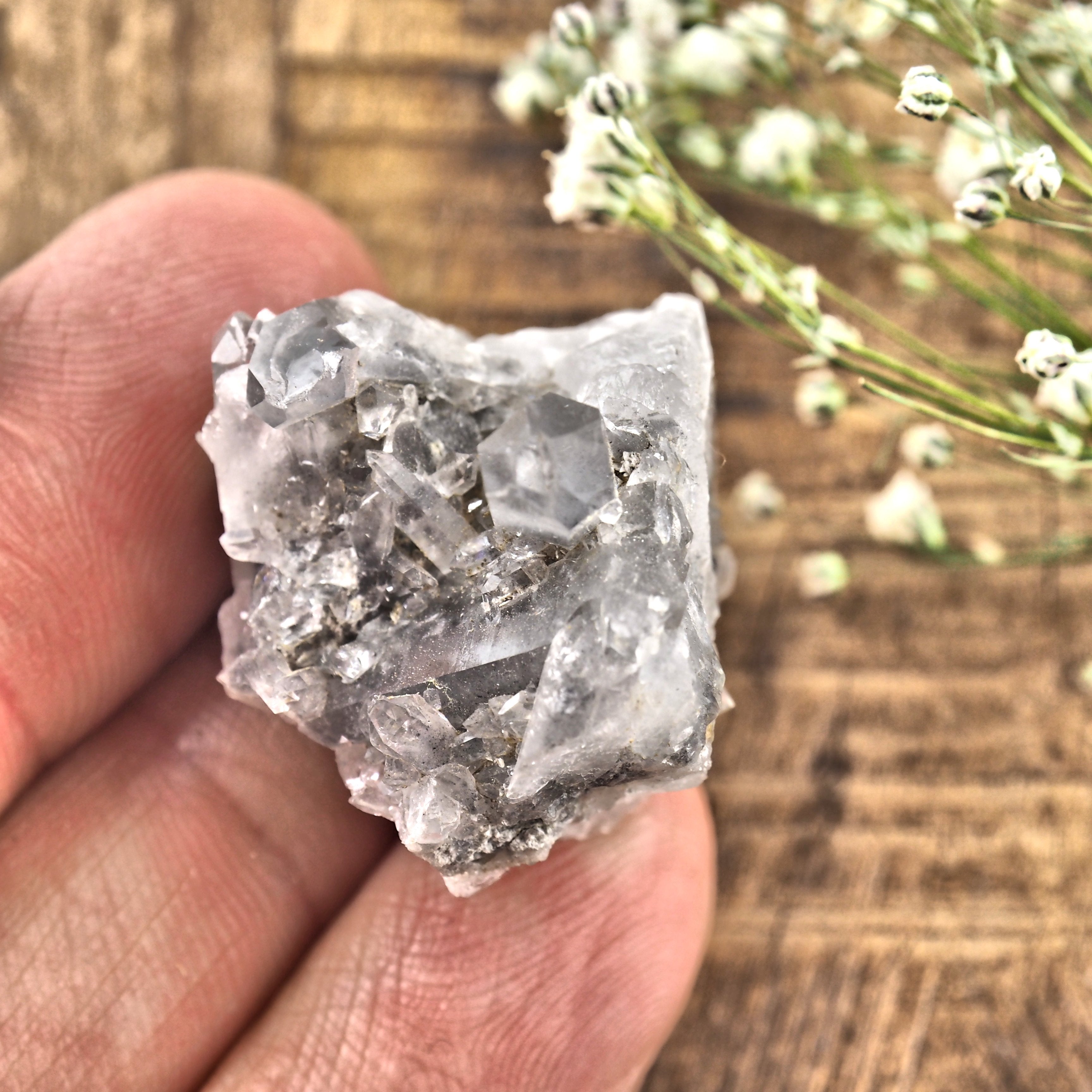 Small Blue Phantom Arkansas Quartz Cluster #1 - Earth Family Crystals