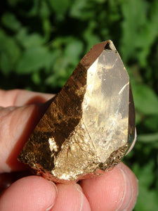 Shiny Gold Aura Quartz Point with Self Healing & Record Keepers