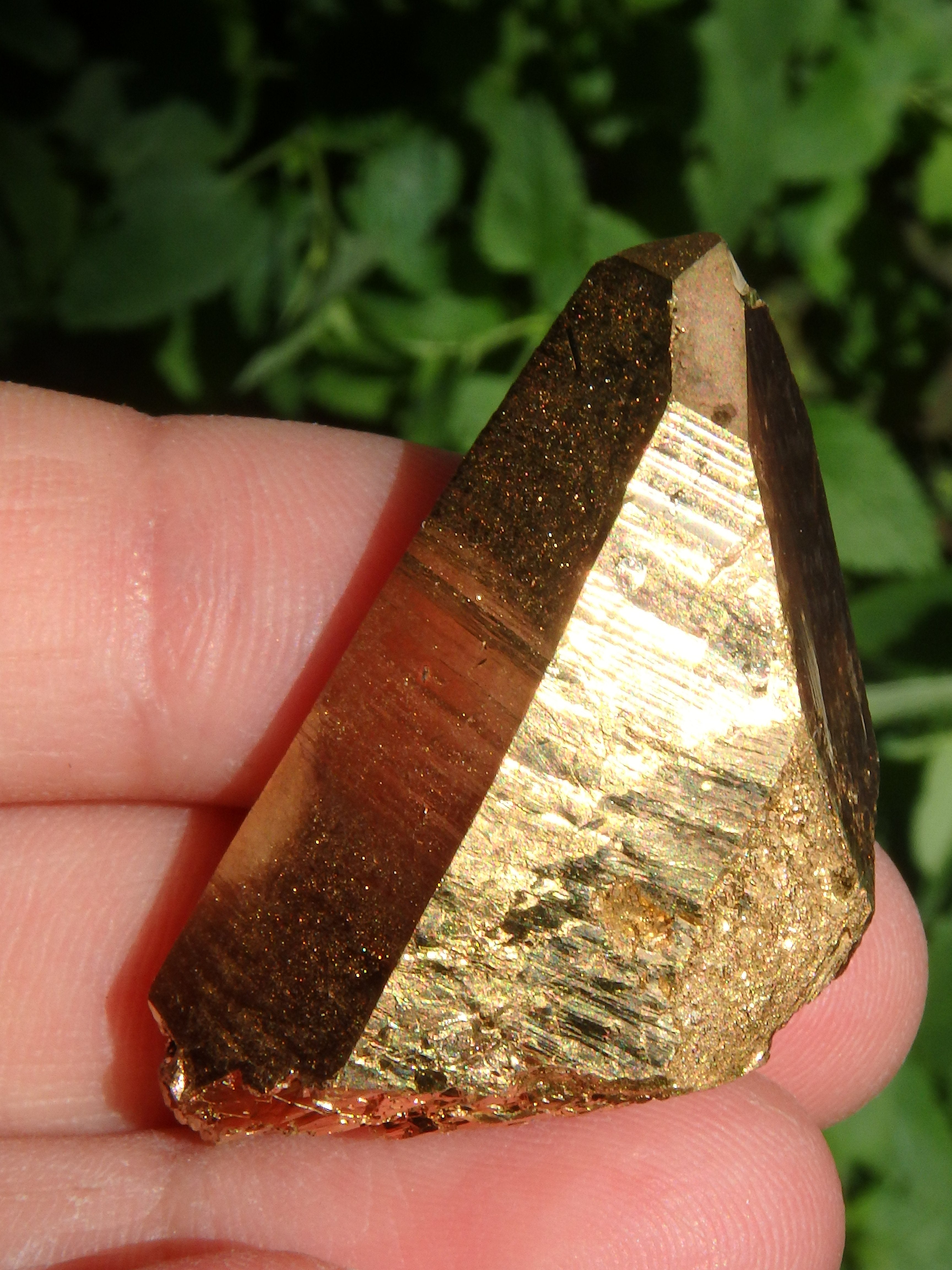 Shiny Gold Aura Quartz Point with Self Healing & Record Keepers