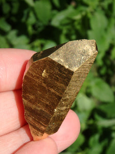 Shiny Gold Aura Quartz Point with Self Healing & Record Keepers