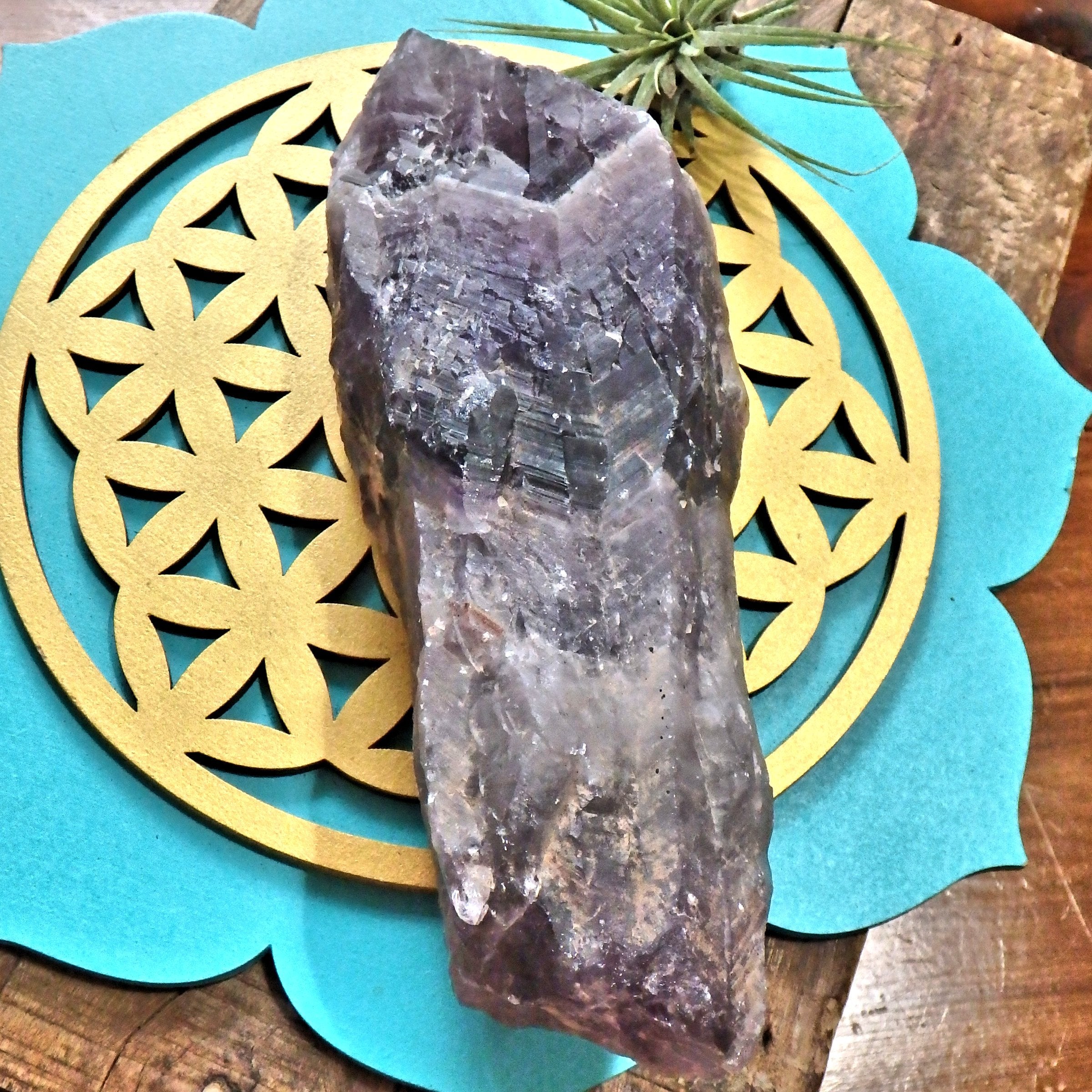 Powerful XL Deep Purple  Auralite-23 Point From Ontario, Canada