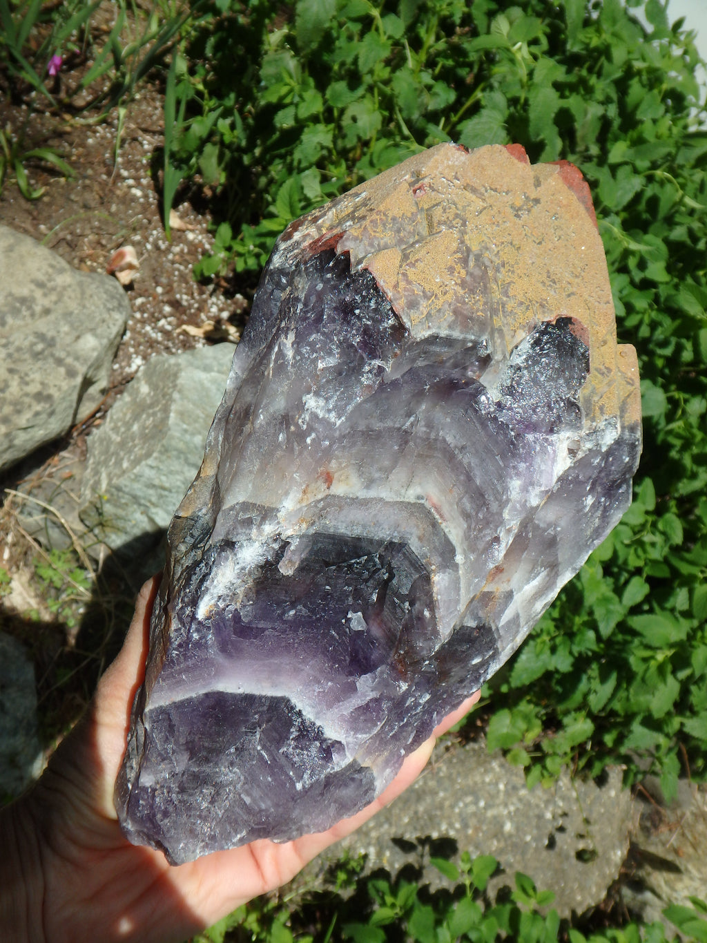 XXXL 6 LB ~Jumbo Auralite-23 Elestial Display Point With Record Keepers From Canada (Mega Healing Powerhouse Specimen) - Earth Family Crystals