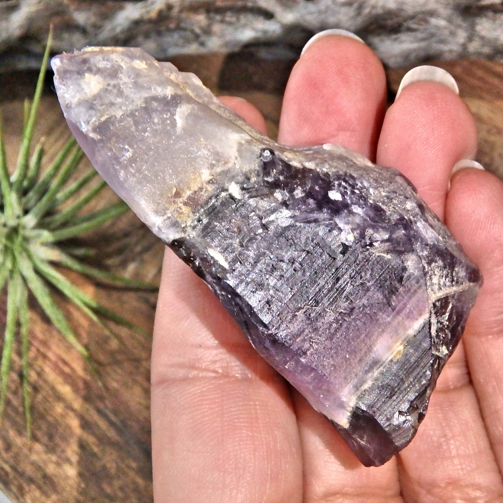 Gorgeous Deep Purple Auralite-23 Point From Ontario, Canada - Earth Family Crystals