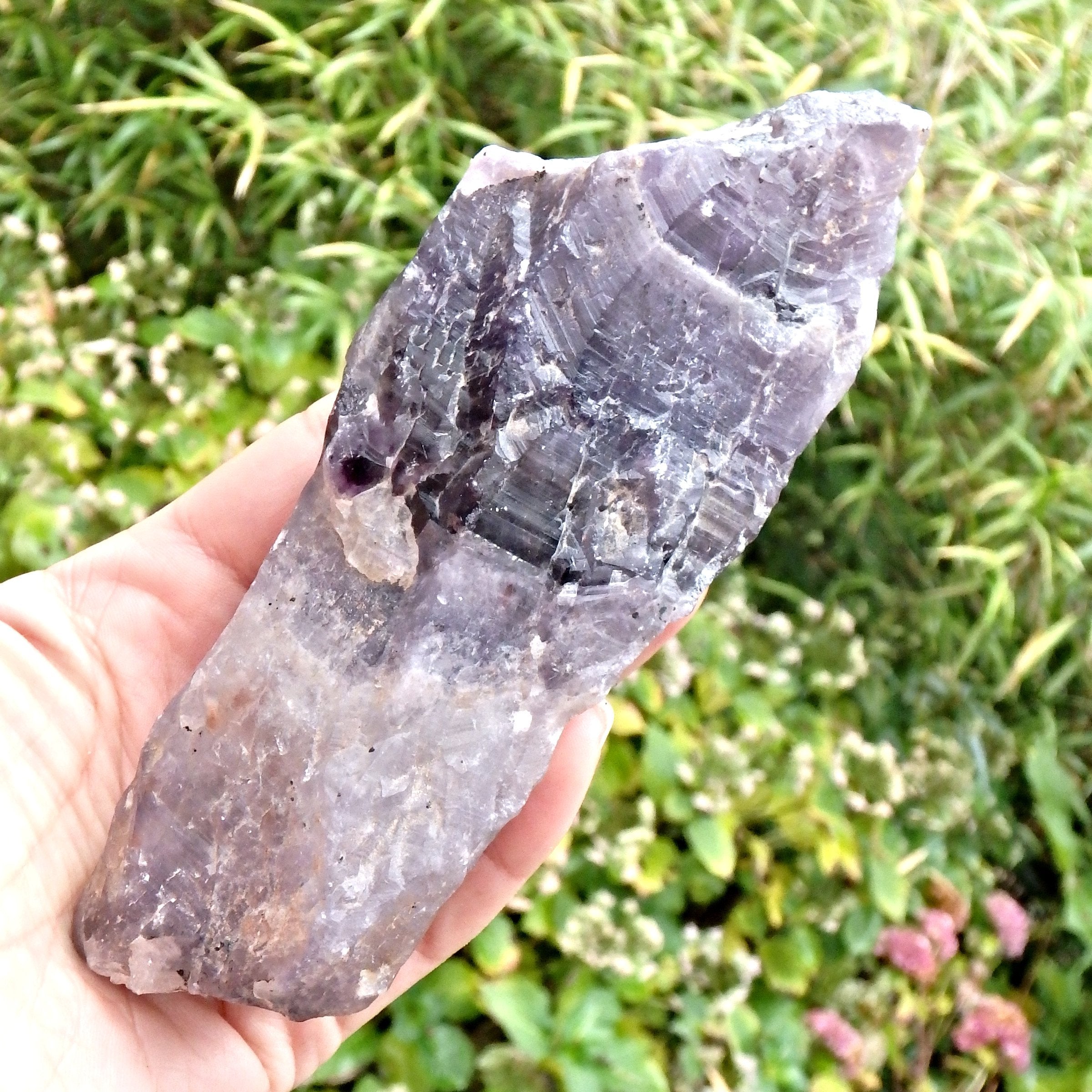 Powerful XL Deep Purple  Auralite-23 Point From Ontario, Canada