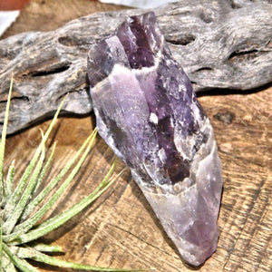 Gorgeous Deep Purple Auralite-23 Point From Ontario, Canada - Earth Family Crystals