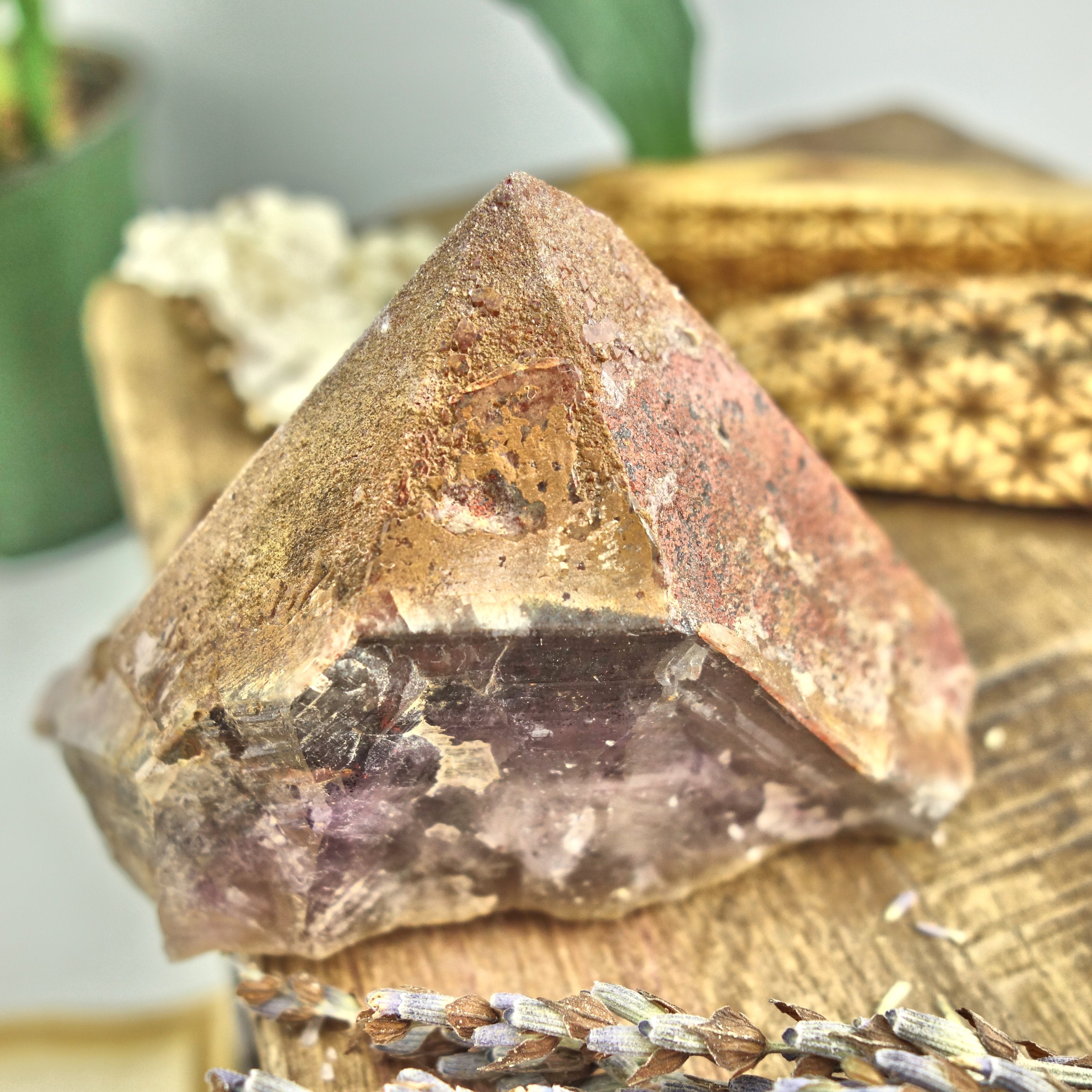 Elestial Hematite & Druzy Genuine Auralite-23 Standing Specimen From Canada - Earth Family Crystals