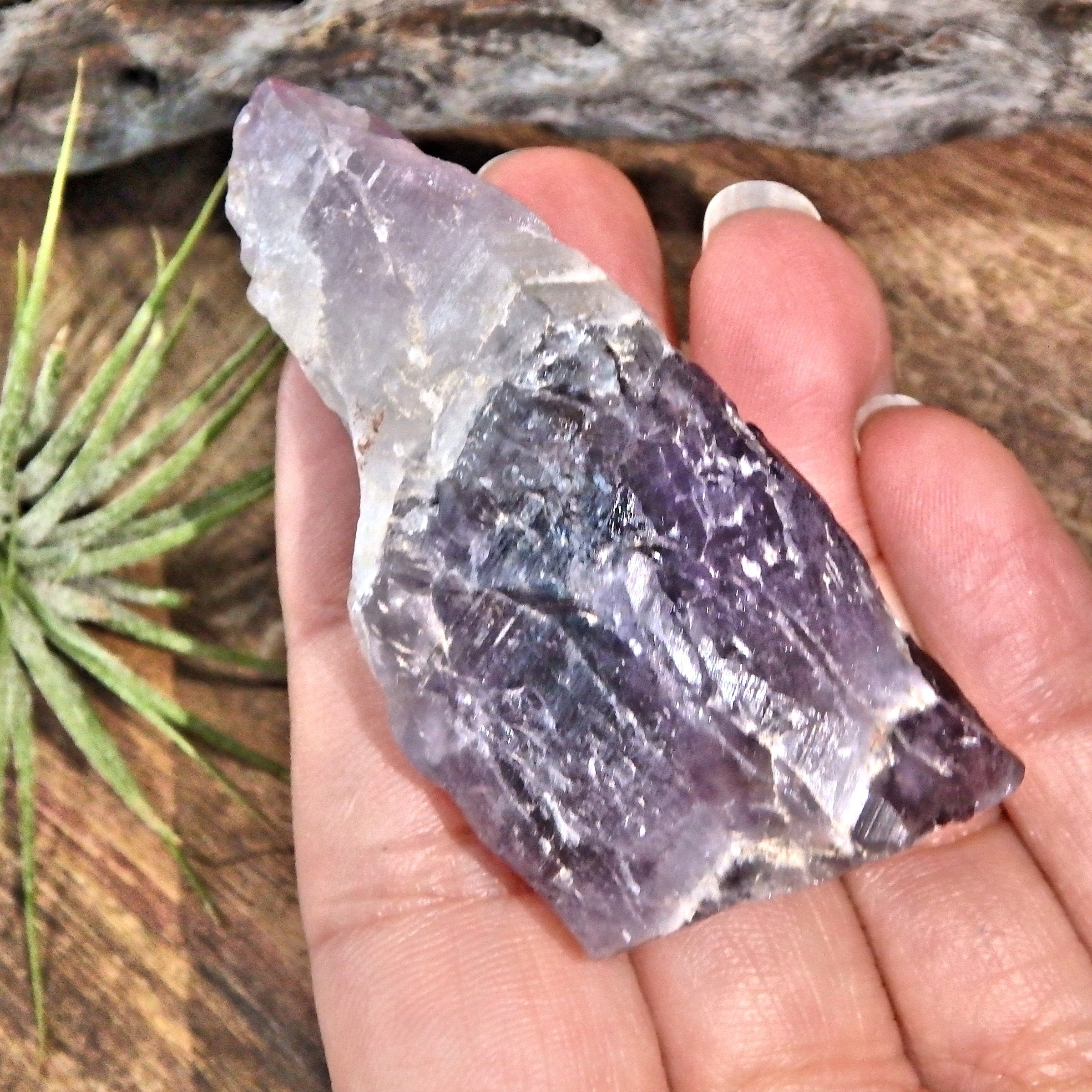 Gorgeous Deep Purple Auralite-23 Point From Ontario, Canada - Earth Family Crystals