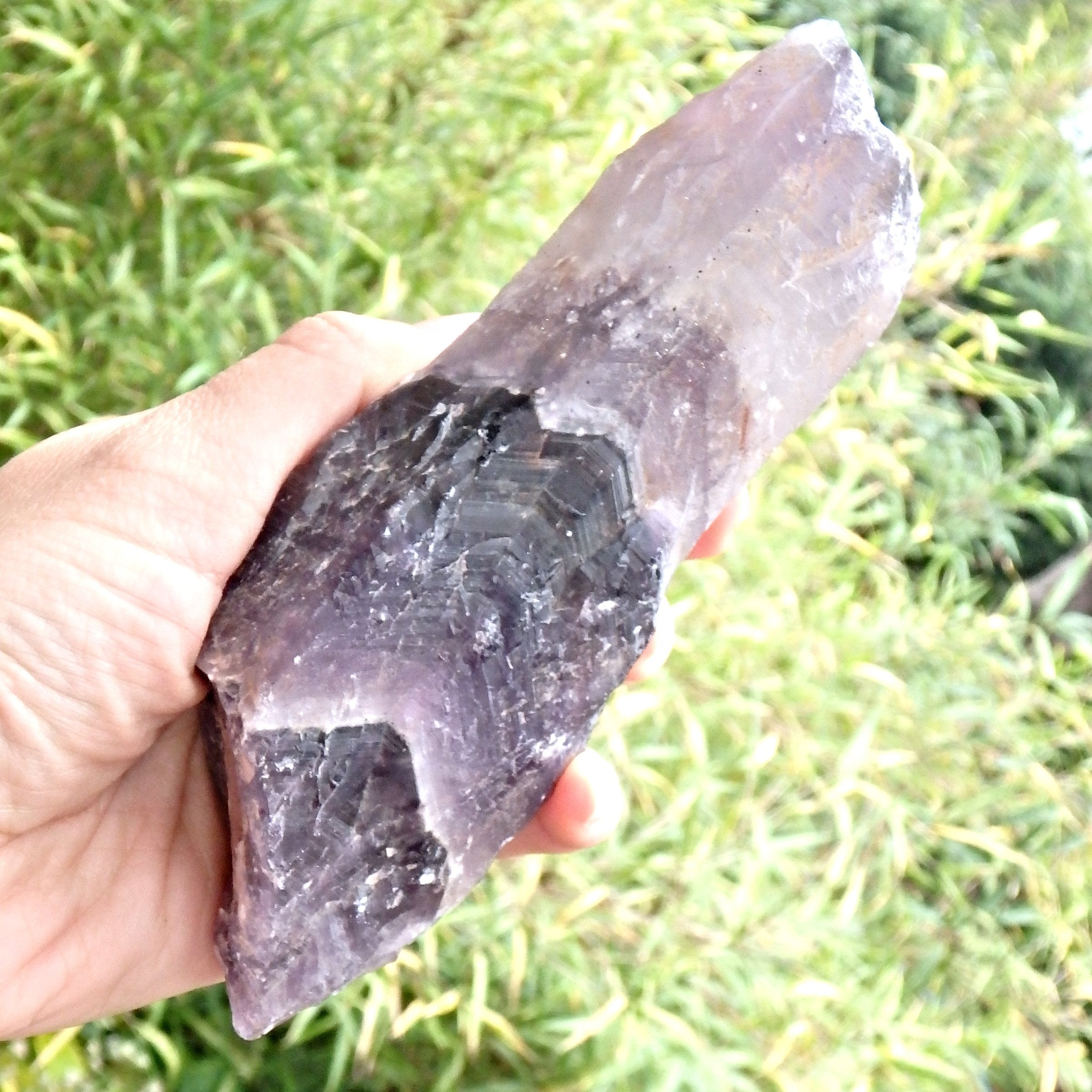 Powerful XL Deep Purple  Auralite-23 Point From Ontario, Canada