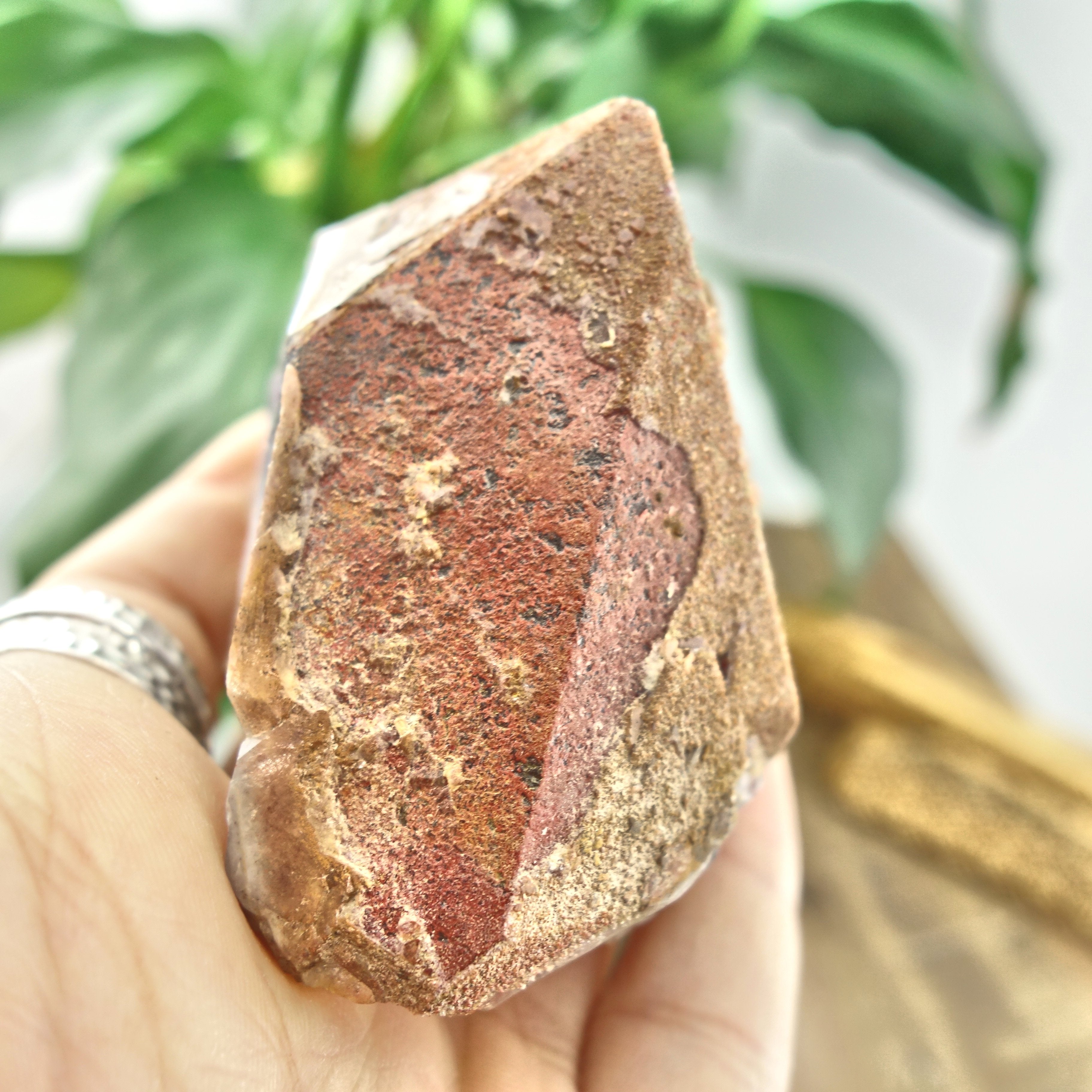 Elestial Hematite & Druzy Genuine Auralite-23 Standing Specimen From Canada - Earth Family Crystals