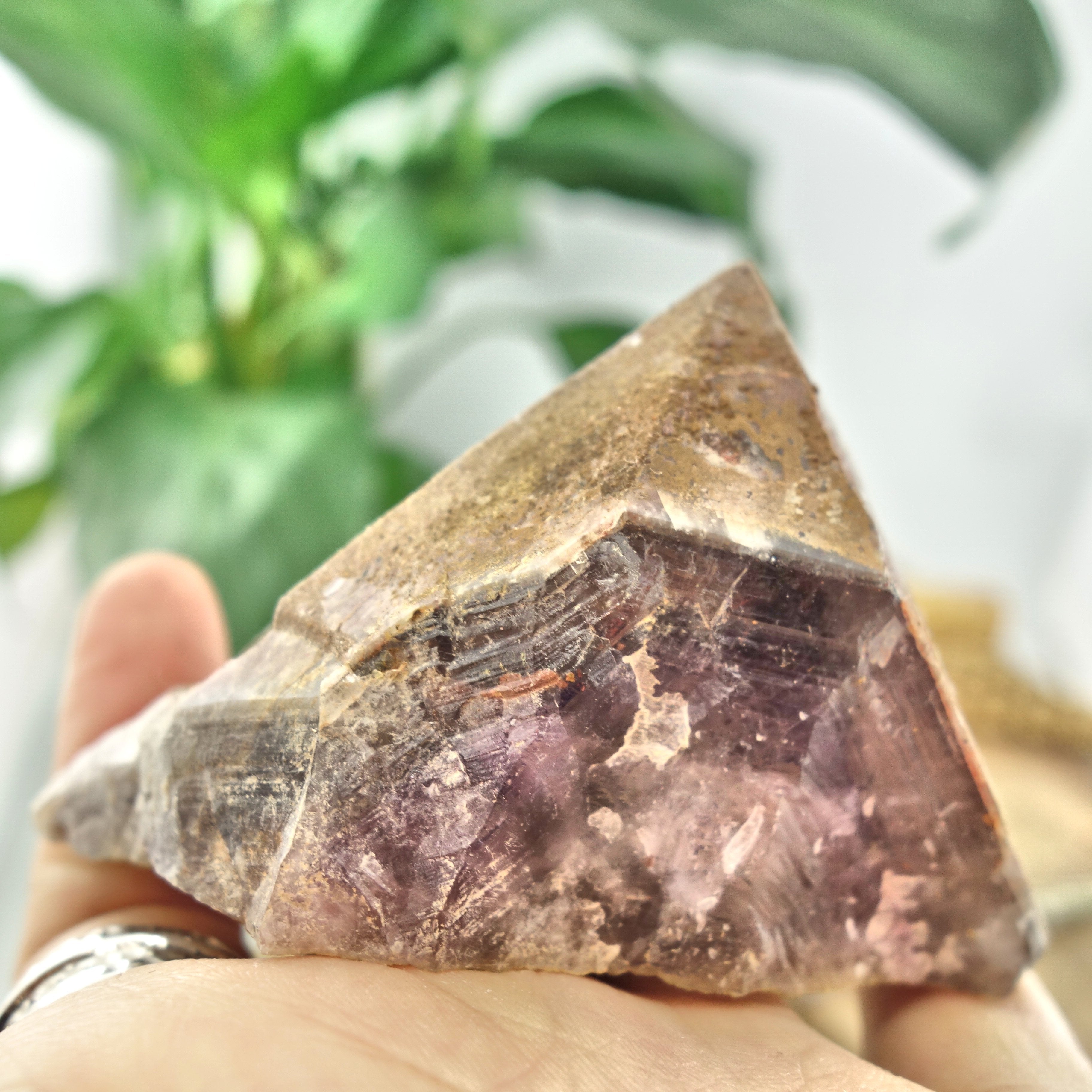 Elestial Hematite & Druzy Genuine Auralite-23 Standing Specimen From Canada - Earth Family Crystals