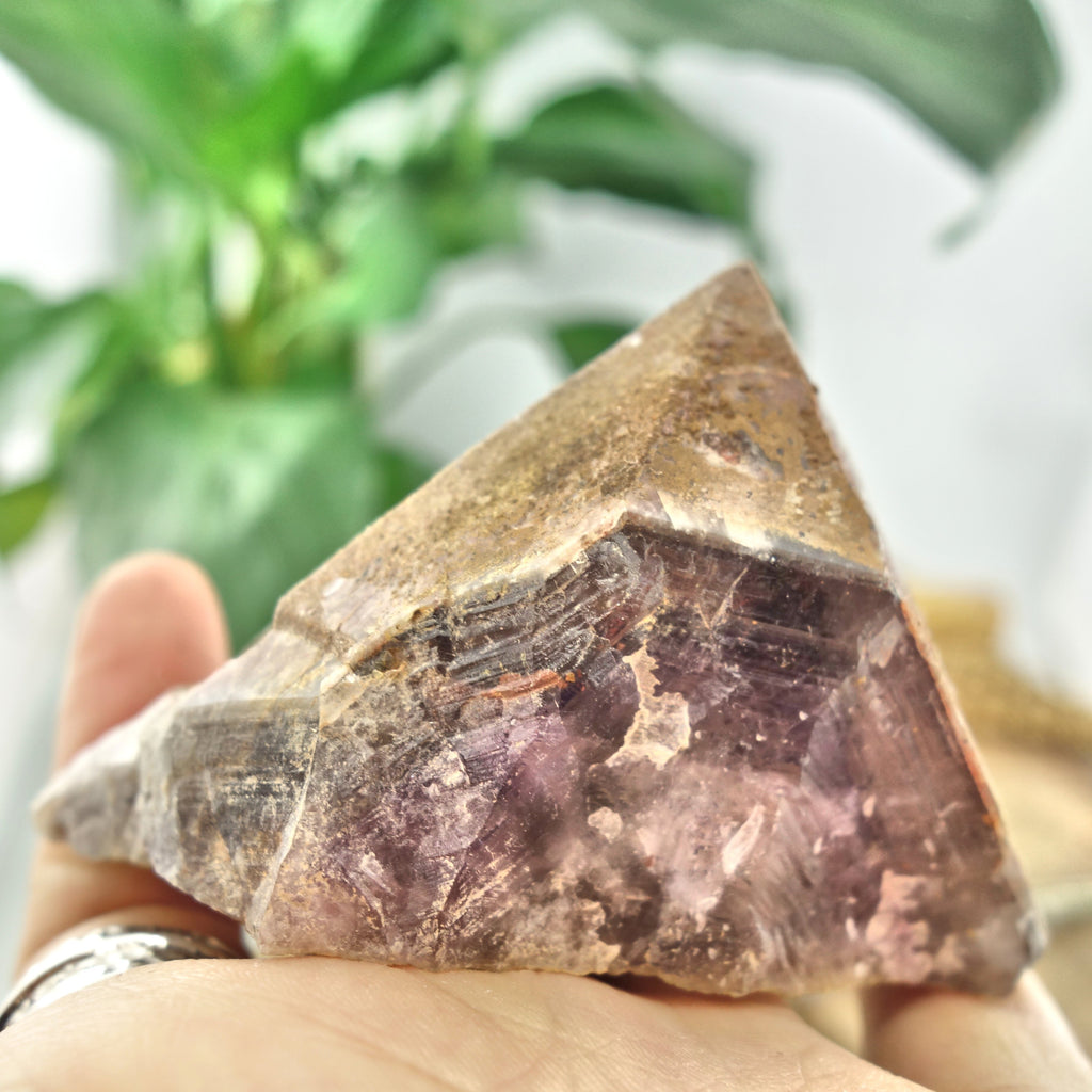 Elestial Hematite & Druzy Genuine Auralite-23 Standing Specimen From Canada - Earth Family Crystals