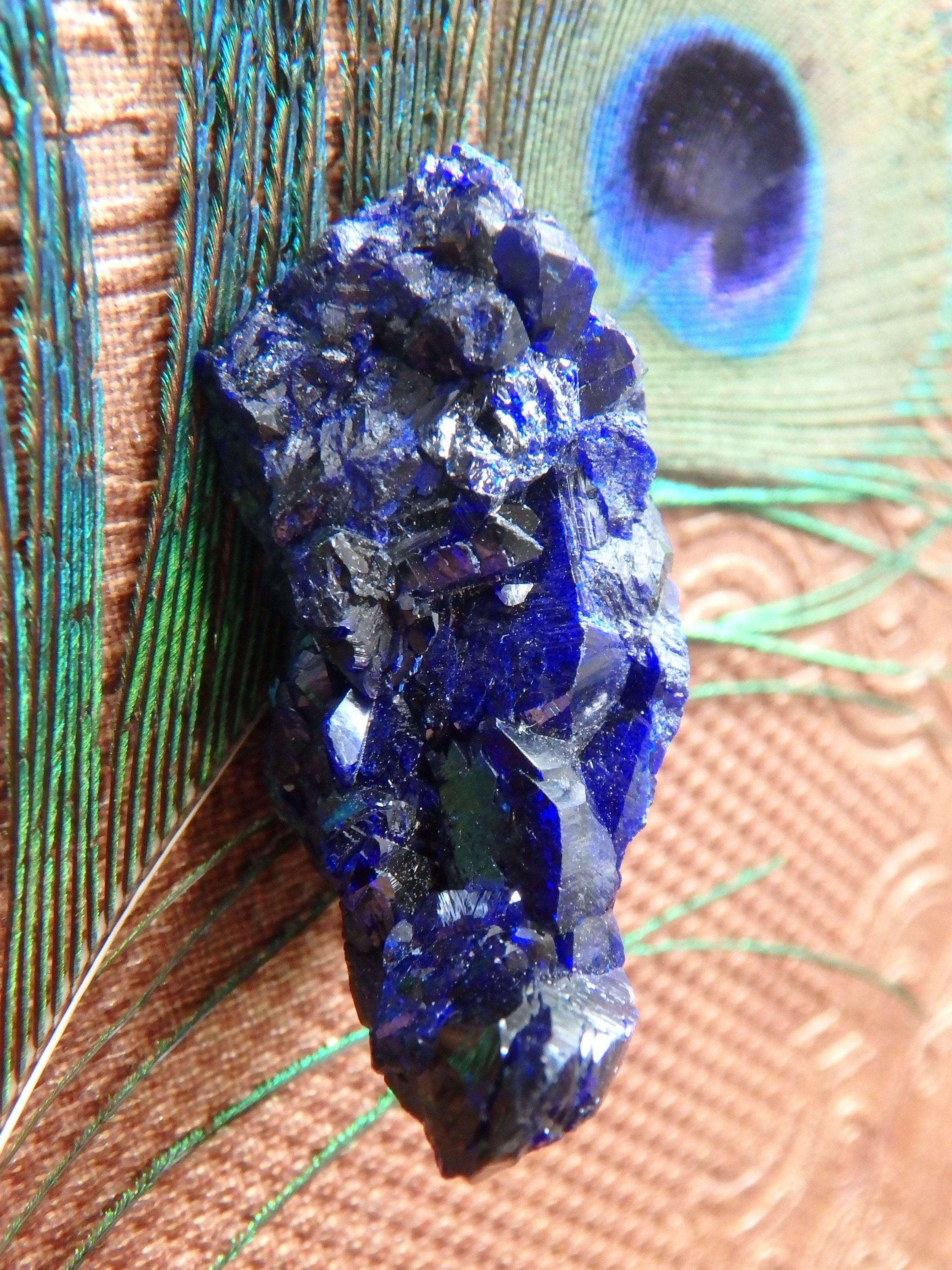 Gemmy Cobalt Blue Crystal Azurite  From Mexico - Earth Family Crystals