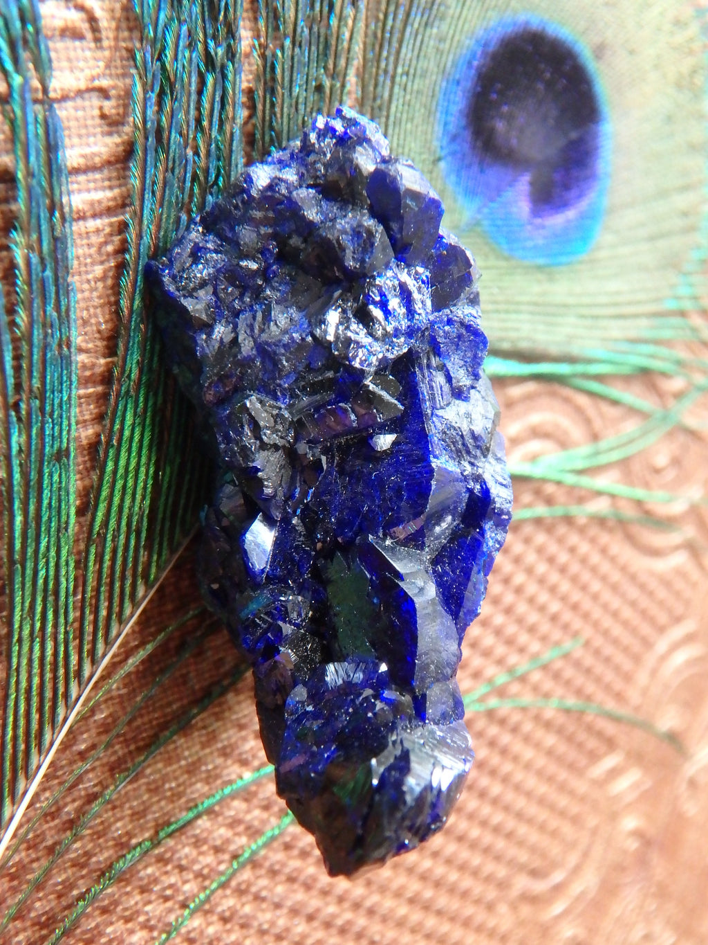 Gemmy Cobalt Blue Crystal Azurite  From Mexico - Earth Family Crystals
