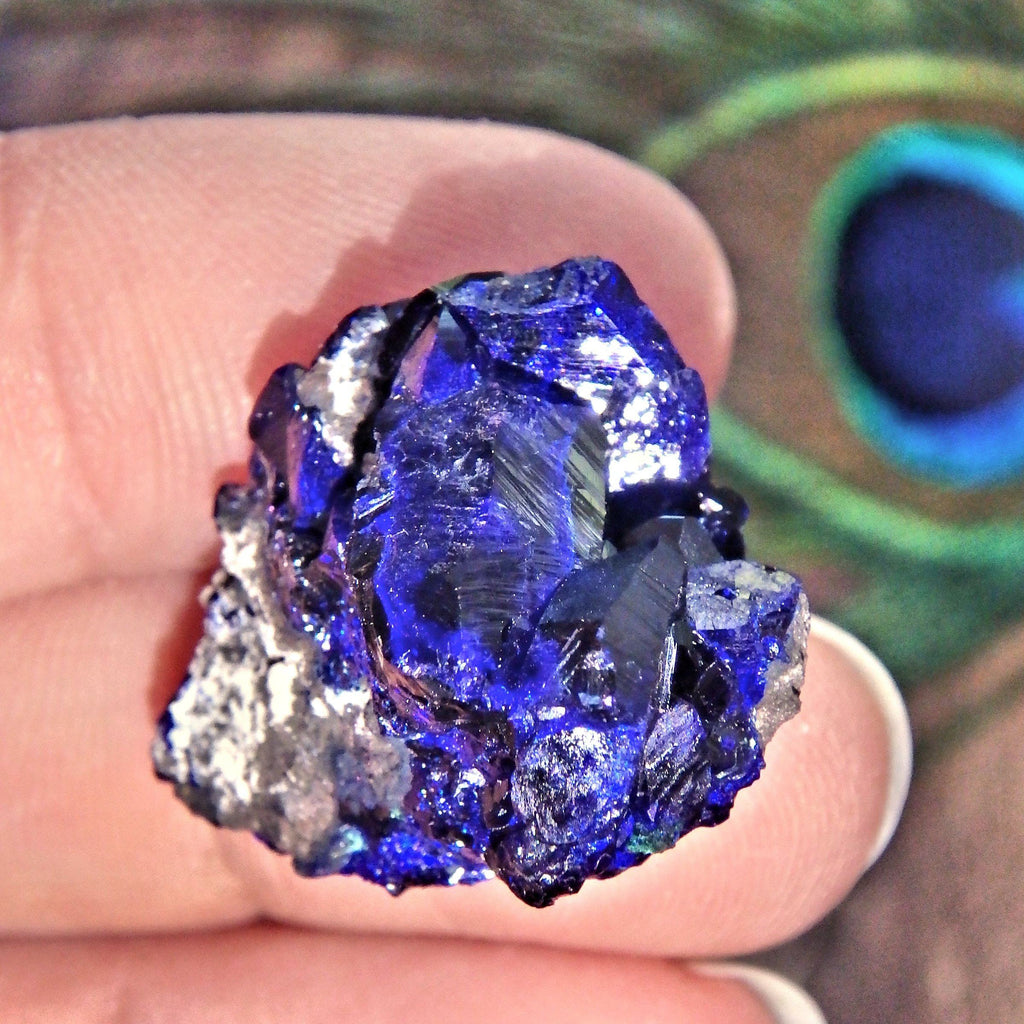 Deep Cobalt Blue Crystallized Azurite Dainty Collectors Specimen From Mexico - Earth Family Crystals