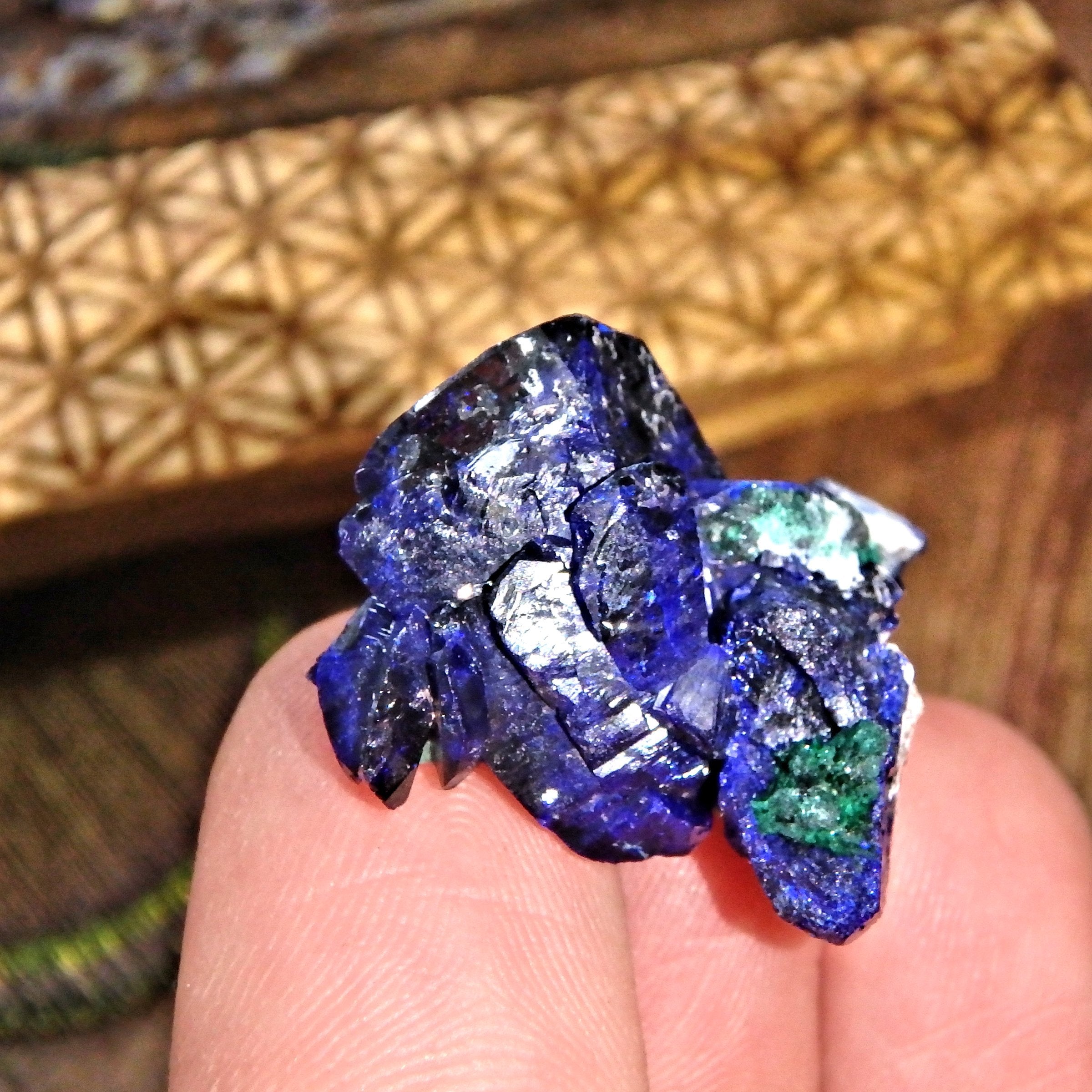 Fantastic Collectors Deep Blue Gemmy Dainty Azurite Crystal With Malachite Inclusions From Mexico 8 - Earth Family Crystals