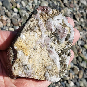 Intricate Red Hematite Included Quartz & Golden Pyrite Nestled in Rock Matrix - Earth Family Crystals