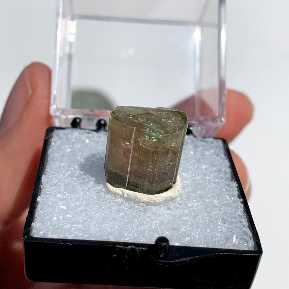 Rare Gemmy Watermelon Tourmaline Point From Brazil in Collectors Box #3 - Earth Family Crystals