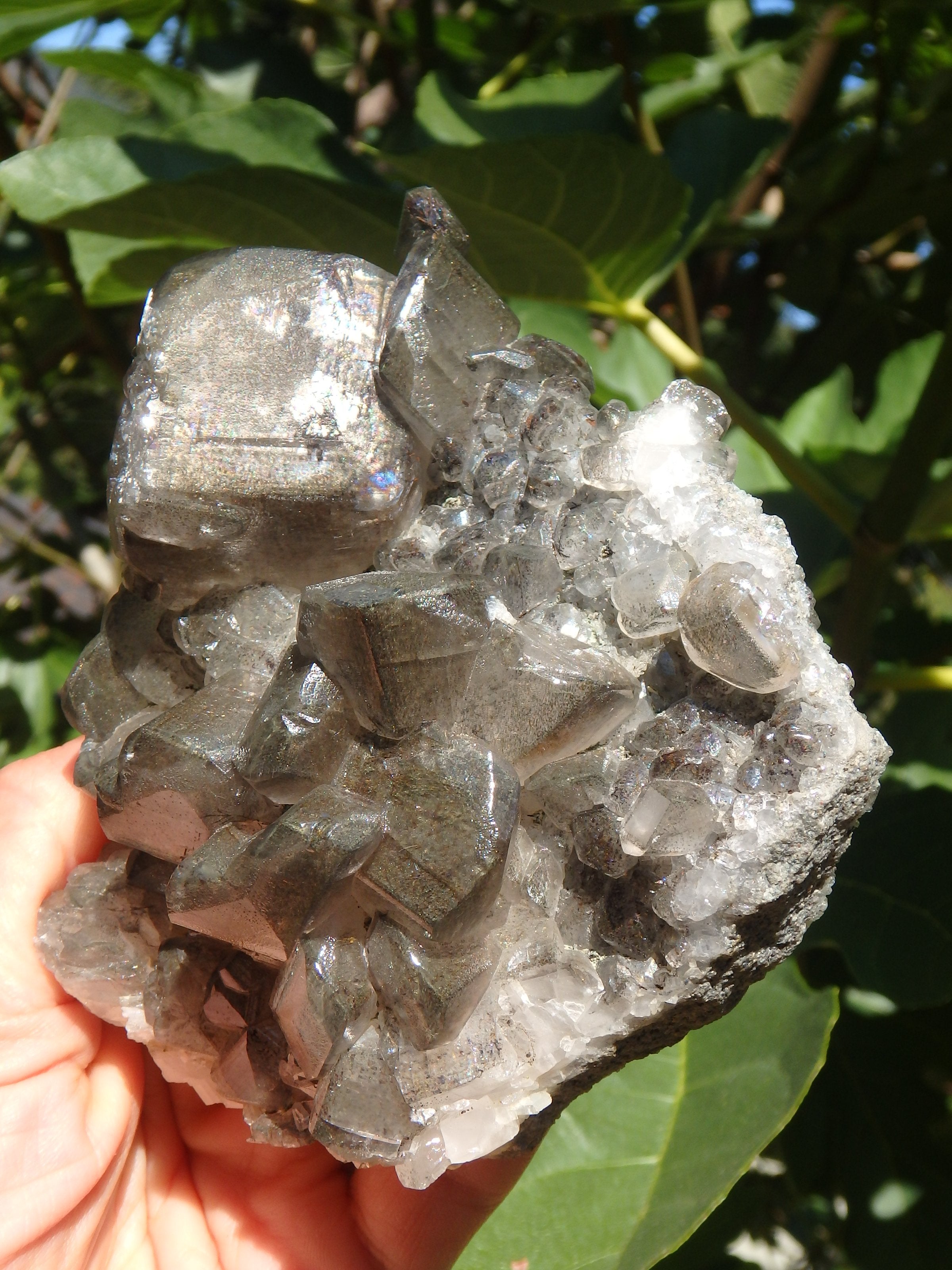 Large Barite Loaded With Rainbows Cluster Specimen