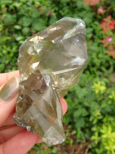 Brilliant Golden Barite Cluster With Hidden Rainbow Specimen 1 - Earth Family Crystals