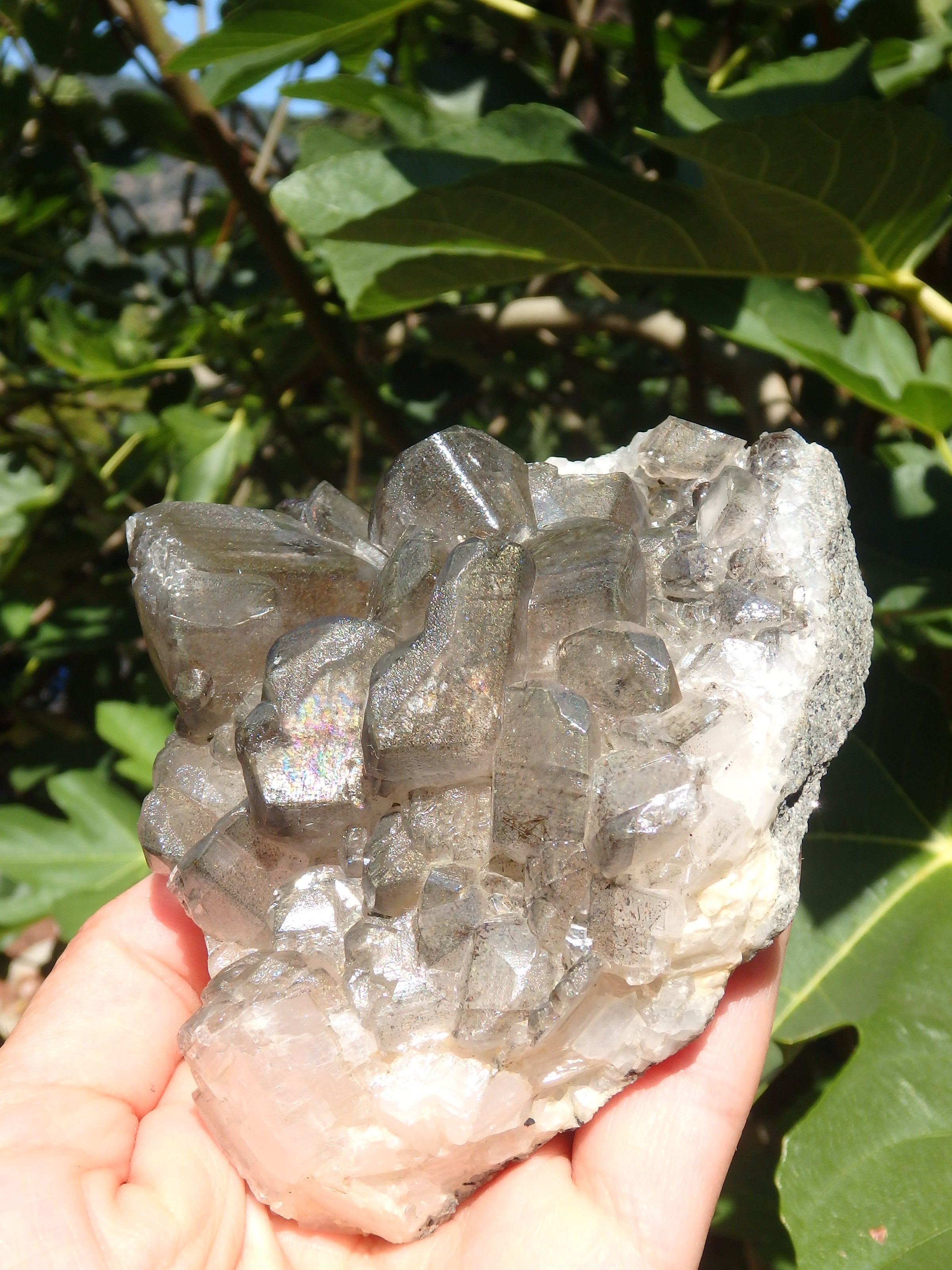 Large Barite Loaded With Rainbows Cluster Specimen