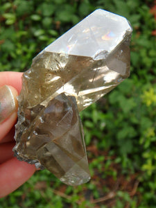 Brilliant Golden Barite Cluster With Hidden Rainbow Specimen 1 - Earth Family Crystals