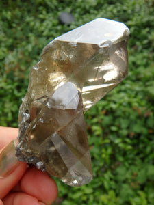 Brilliant Golden Barite Cluster With Hidden Rainbow Specimen 1 - Earth Family Crystals