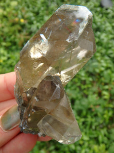 Brilliant Golden Barite Cluster With Hidden Rainbow Specimen 1 - Earth Family Crystals