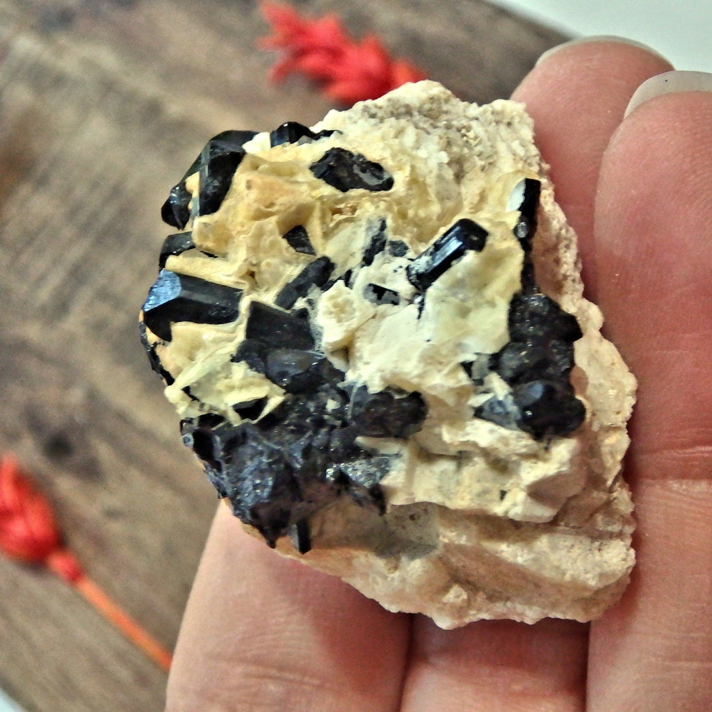 Blades of Black Tourmaline nestled in Feldspar Matrix From Brazil12 - Earth Family Crystals