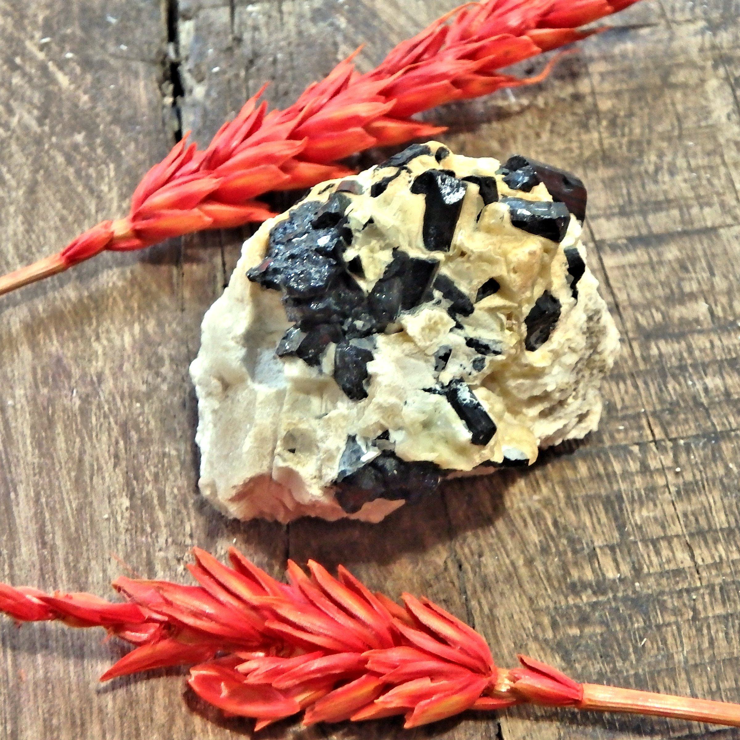 Blades of Black Tourmaline nestled in Feldspar Matrix From Brazil12 - Earth Family Crystals
