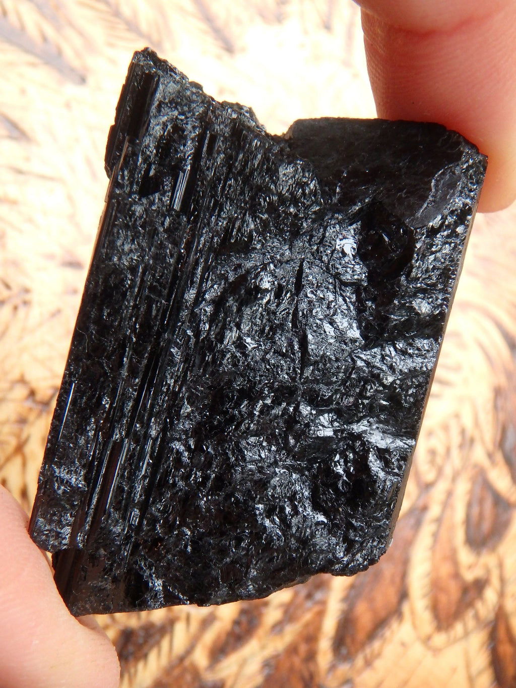 Chunky Raw Black Tourmaline Specimen 1 - Earth Family Crystals