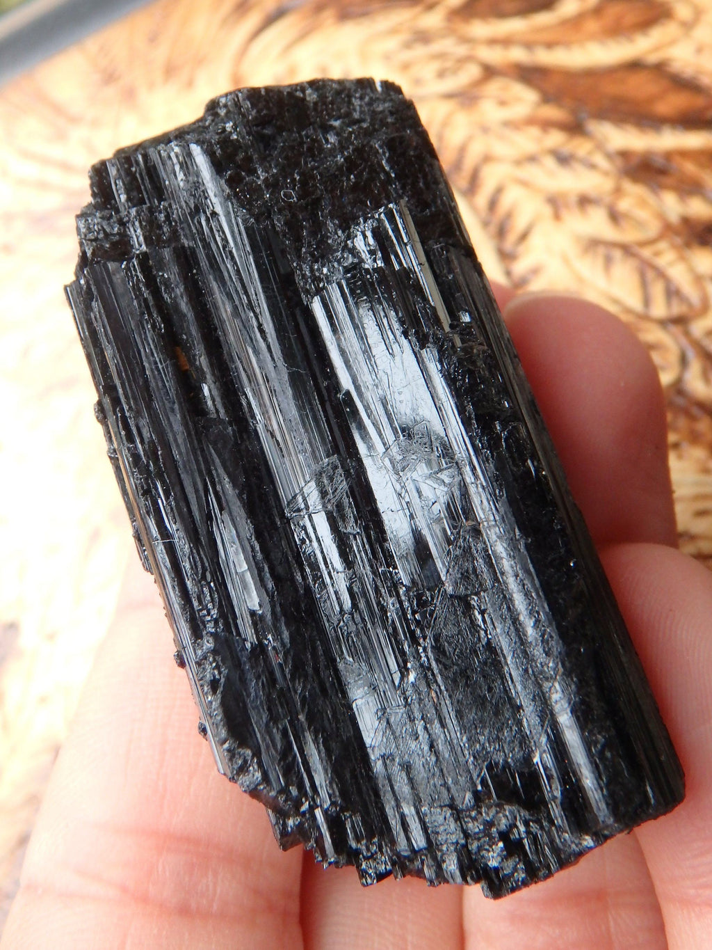 Chunky Raw Black Tourmaline Specimen 2 - Earth Family Crystals