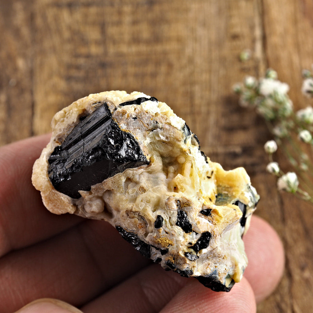 Black Tourmaline Blades Nestled in Feldspar Matrix From Brazil1 #1 - Earth Family Crystals