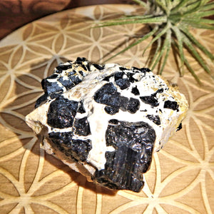 Natural Black Tourmaline Blades Nestled in Feldspar Matrix From Brazil - Earth Family Crystals
