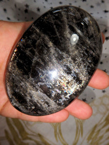 Incredible Internal Rainbow Shimmer Mysterious Black Moonstone Specimen - Earth Family Crystals