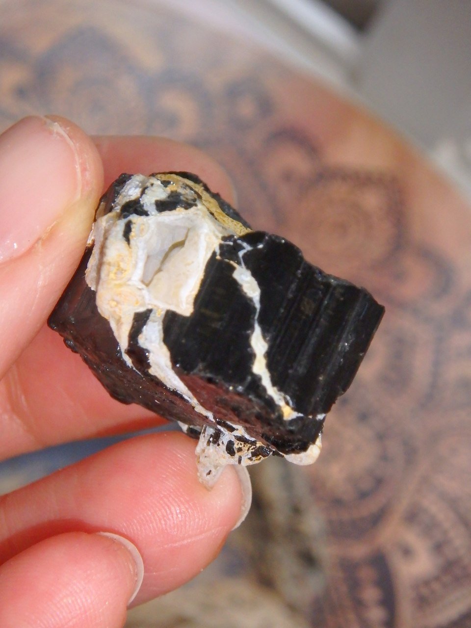 Shiny Black Tourmaline Nestled in Feldspar Matrix From Brazil 1 - Earth Family Crystals