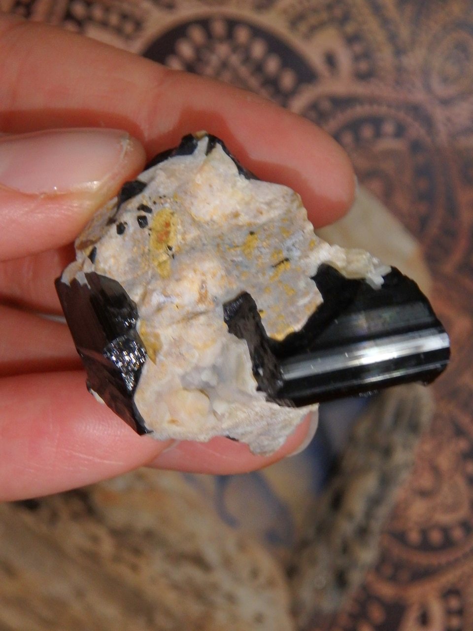 Shiny Black Tourmaline Nestled in Feldspar Matrix From Brazil 2 - Earth Family Crystals