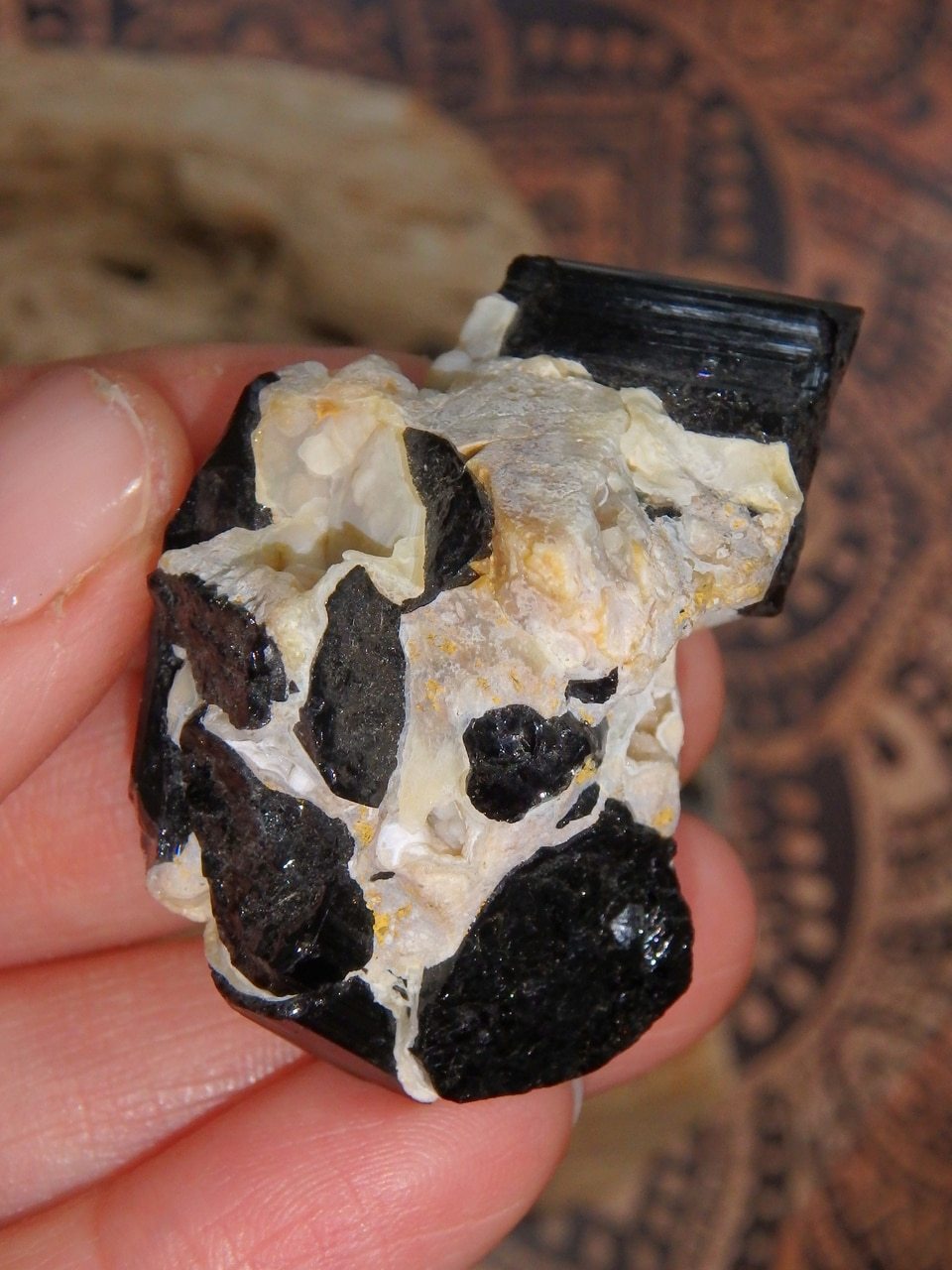 Shiny Black Tourmaline Nestled in Feldspar Matrix From Brazil 2 - Earth Family Crystals