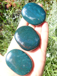 Shiny Bloodstone Polished Worry Stone (1)