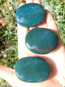 Shiny Bloodstone Polished Worry Stone (1)