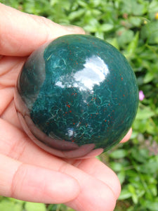 Shiny Deep Forest Green With Red Speckles Bloodstone Sphere Carving